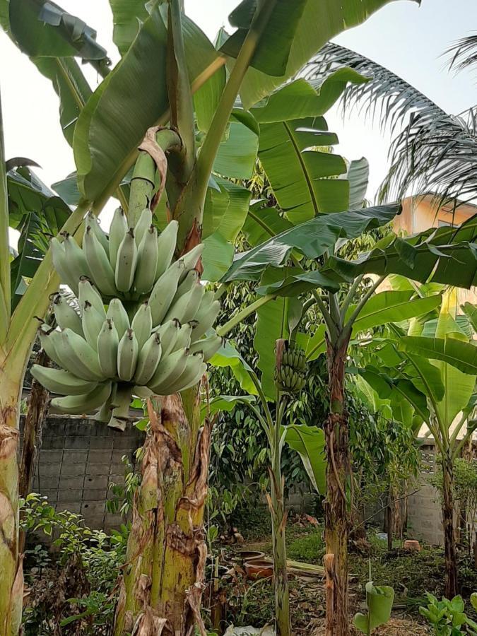 مبيت وإفطار بانكوك Baan Boon المظهر الخارجي الصورة